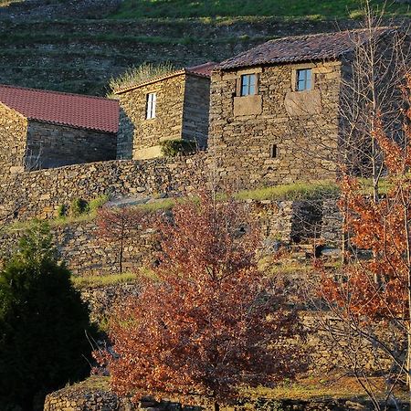 Cardenha Do Douro Villa Mesão Frio Стая снимка