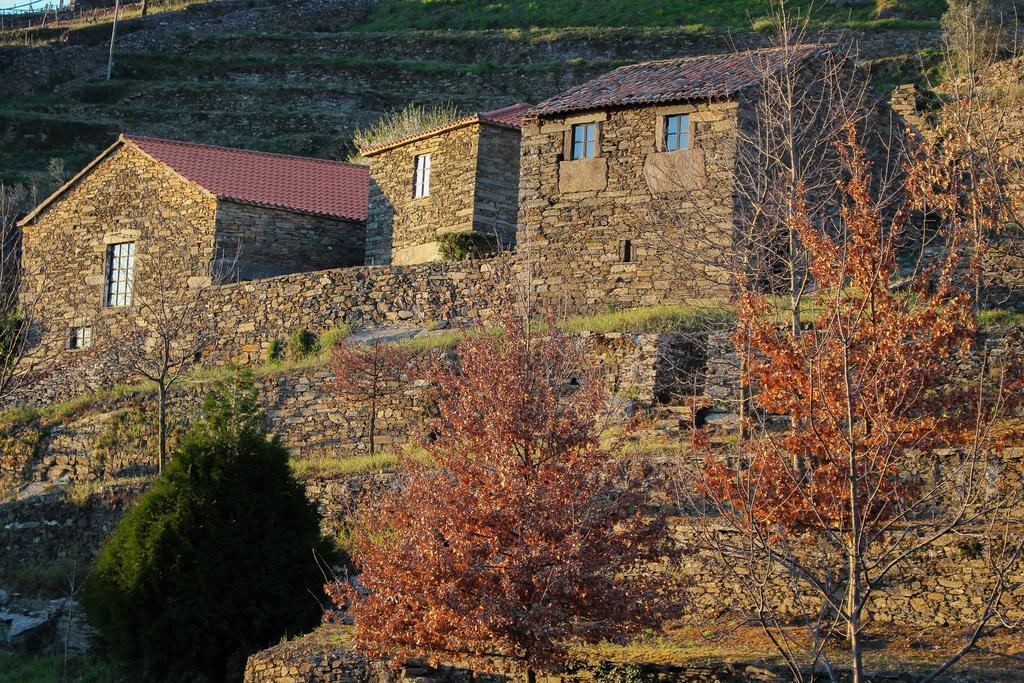 Cardenha Do Douro Villa Mesão Frio Стая снимка